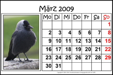 3-März-2009-quer.jpg